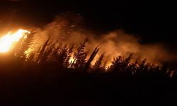 İzmir’de Yangın Korkusu: Urla’da Gece ve Gündüz Aralıksız Mücadele