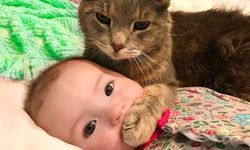 Kedi Sahipleri Dikkat! Bebeğinizle İlk Temas Bu Şekilde Olmalı