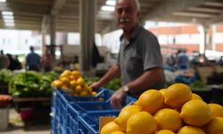 Zirai Donun Bedeli Ağır Oldu: Vatandaş Limon Yerine Bakın Ne Kullanıyor!