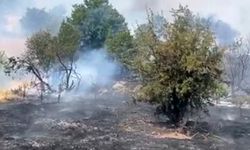 Malatya’da Yangın Alarmı: Ekipler Havadan ve Karadan Müdahale Ediyor!