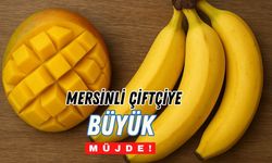 Bölge Ekonomisine Katkı: Mersin’e Modern Muz ve Mango Seraları Geliyor