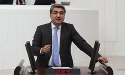 DEVA Milletvekili Ekmen: "Her Yaz Aynı Acı"