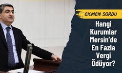 Mersin’in Vergi Gerçekleri Meclis Gündeminde: DEVA Partisi Ekmen Sordu