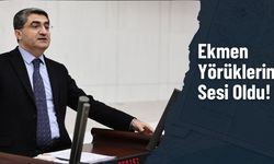 Toroslar Yörükleri Geçim Sıkıntısında: “Artık Dayanacak Gücümüz Kalmadı”