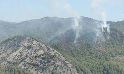 Anamur’da Orman Yangını: Havadan ve Karadan Müdahale Sürüyor