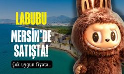 Labubu Mersin’de satışta! Uygun fiyatını gören şaşırıyor