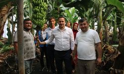 Mersin’de “Türkiye Yüzyılı” Buluşmaları: Milletvekili Eser Projeleri İnceledi