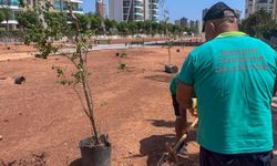 Bu Kutlama Diğerlerinden Farklı: Yenişehir Belediyesinden Yeni Uygulama