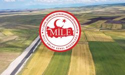 Sahte Diploma Çetesi Devletin Kalbine Sızdı: Milli Emlak ve Tapu Sistemine Giriş Yapmışlar!