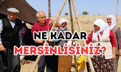 Ne kadar Mersinlisiniz? Bu 5 kelimeyle anında ortaya çıkıyor!