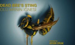 Aydın Orak’ın Yeni Filmi “Ölü Arının İğnesi” Mersin’de Hayat Buluyor