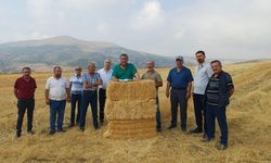 Tarımda Felaket Kapıda: Çiftçi Tarlasını Terk Ediyor!