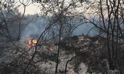 Osmaniye’de Tarladan Zeytinliğe Sıçrayan Yangına Havadan ve Karadan Müdahale