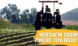 Mersin Ekonomisinde Kritik Uyarı: “Tarım Zarar Görürse Türkiye Zarar Görür”