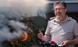 Bakan Yumaklı’dan Kritik Açıklama: Çanakkale Yangınlarında Son Durum