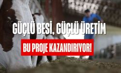 Üreticide Kazanç, Türkiye’de Ekonomi: Güçlü Besi Projesi Başladı!