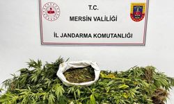 Erdemli ve Silifke’de Dev Operasyon! Jandarmadan Kaçamadılar