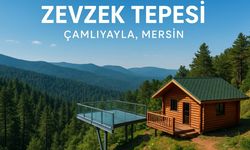 Şehrin Gürültüsünden Kaçmak İster Misiniz? Çamlıyayla’daki O Tepede Huzuru Keşfedin!