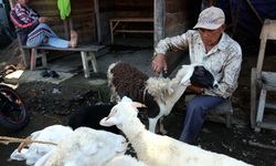 Bakanlık Duyurdu: 2025 Hayvancılık Desteklerinde Ödemeler Artıyor! Buzağı, Kuzu, Çoban ve Balıkçılığa Ne Kadar Ödenecek?