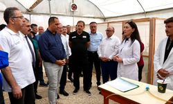 Akdeniz Meyve Sineğine Karşı Erdemli’de Biyolojik Mücadele