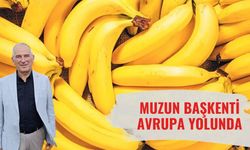 Başkan Deniz’den Avrupa Çıkarması: Anamur Tarımda Dünyaya Örnek Oluyor!