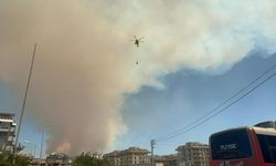 Antalya Kargıcak’ta Orman Alevlerle Kavruluyor: Ekipler Seferber Oldu