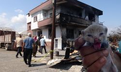 Düğün Gününde Felaket Yaşadılar, Erdemli'de Enkazdan Minik Bir Can Çıktı