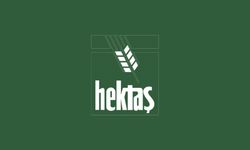Hektaş (HEKTS) Bedelsiz Sermaye Artırımı Potansiyeli Dikkat Çekiyor