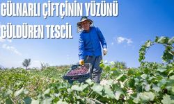 Gülnar’ın Altın Tanesi: Kişniş Üzümü Artık Tescilli!