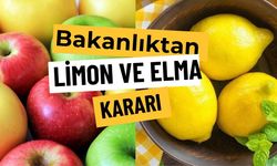Mersin’in Limon Krizi Tüm Türkiye’yi Etkiliyor: İhracatta Yeni Karar