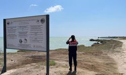 Mersin'de Jandarma Ekiplerinden Doğa ve Hayvan Koruma Seferberliği