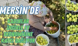 Mersin’de Kadınlar İncirle Ev Ekonomisine Katkı Sağlıyor