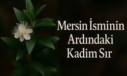 Tanrıçaların Kutsal Bitkisiydi, Bir Şehre Adını Verdi: İşte Mersin'in Hikayesi