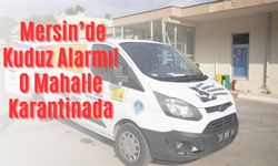 Mersin’de Kuduz Alarmı! O Mahalle Karantinaya Alındı