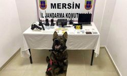 Mersin’de Nefes Kesen Operasyon: Altın, Nakit ve Uyuşturucu Ele Geçti