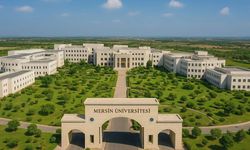 Silifke Uygulamalı Teknoloji ve İşletmecilik Yüksekokulu Nerede? Ulaşım ve İletişim Bilgileri