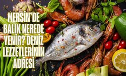 Mersin’de Balık Nerede Yenir? Deniz Lezzetlerinin Adresi