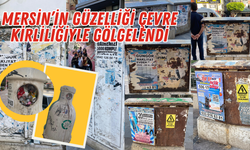 Mersin’in Güzelliği Çevre Kirliliğiyle Gölgelendi: Çevreciler Tepkili