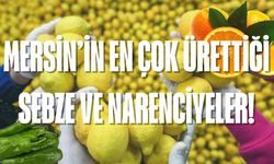 Mersin’de En Çok Hangi Ürünler Üretiliyor? Tarım, Sanayi ve Narenciyede Öne Çıkanlar