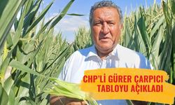 Türkiye’de Tarım Alarmı! Her Saat Bir Futbol Sahası Büyüklüğünde Tarım Arazisi Siliniyor