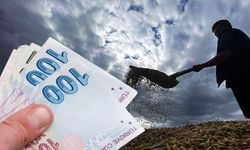 Tarımda Yeni Destek Başlıyor! Resmi Gazete Onayladı