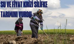 Silifke’de İhracat Kanalları Kapalı, Çiftçi Borç İçinde Kaldı