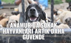 Anamur Belediyesi’nden Hayvanseverlere Büyük Müjde
