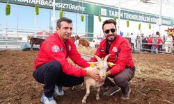TEKNOFEST’te Tarımın Geleceği: Akıllı Ahır ve Robotlar Ziyaretçileri Büyülüyor