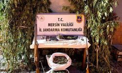 Toroslar’da Şok Baskın: Uyuşturucu Üreticileri Suç Üstü Yakalandı