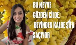 Bu Meyve Adeta Vitamin Bombası! Günde Bir Kase ile Farkı Hissedin