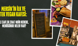 Mersin’in İlk ve Tek Vegan Kafesi: Le Cafe de Chat Noir Nerede, Menüsünde Neler Var?