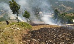 Osmaniye`de ormana sıçrayan anız yangını söndürüldü