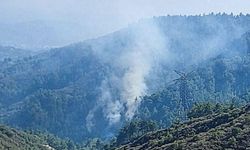 Hatay`da orman yangını