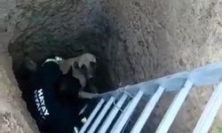 5 metre derinliğindeki kuyuya düşen köpeğin yardımına itfaiye ekipleri yetişti